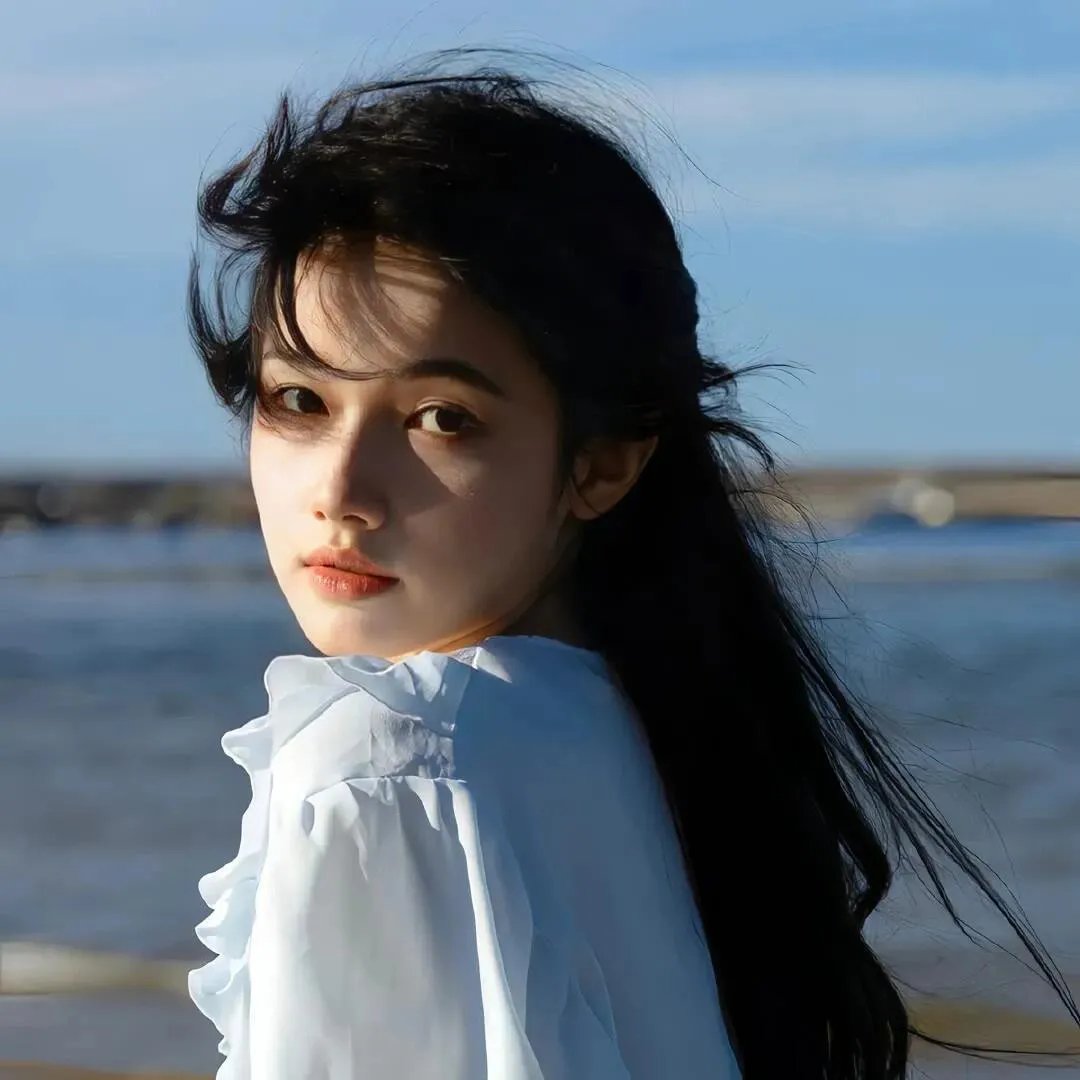 完美盗贼